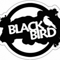 Black_Bird