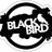 Black_Bird